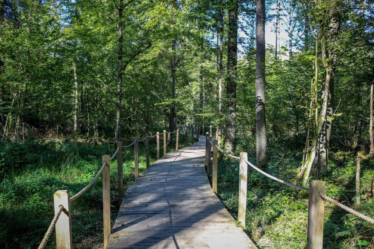 Lesna 21 Dom Poludnie Przy Puszcza Bialowieska Luka Exteriör bild