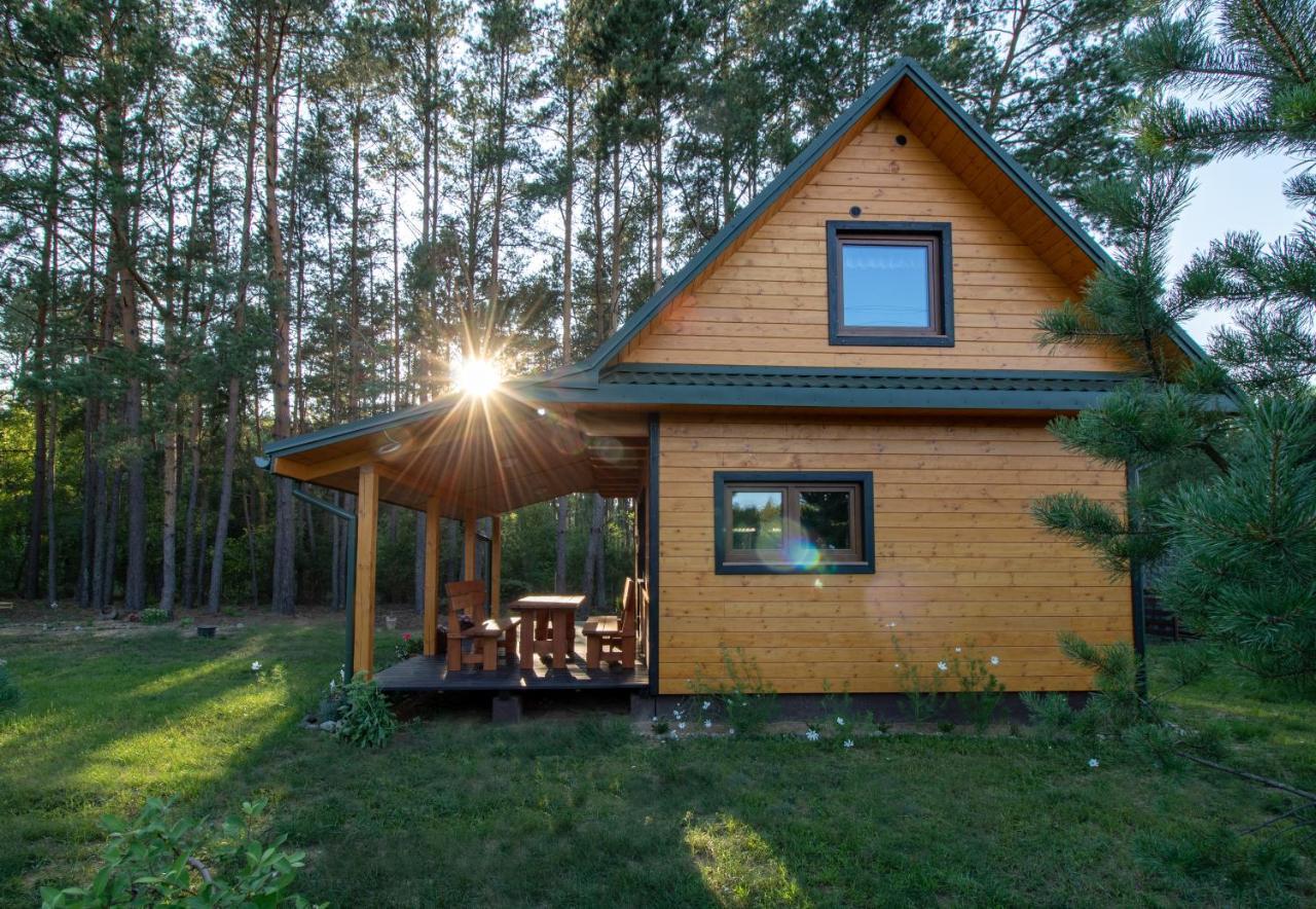 Lesna 21 Dom Poludnie Przy Puszcza Bialowieska Luka Exteriör bild