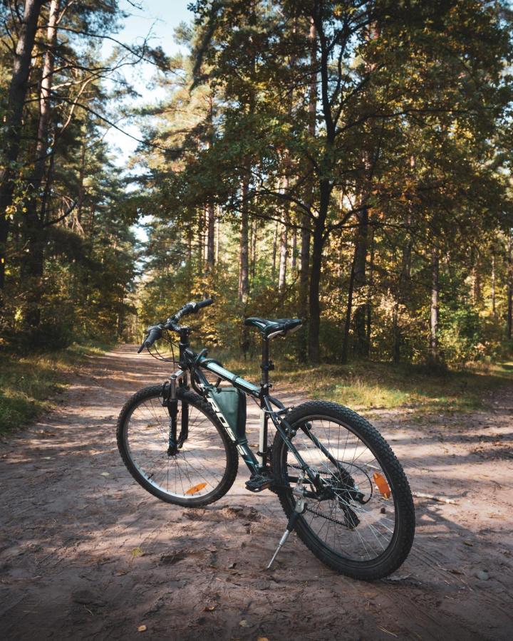 Lesna 21 Dom Poludnie Przy Puszcza Bialowieska Luka Exteriör bild
