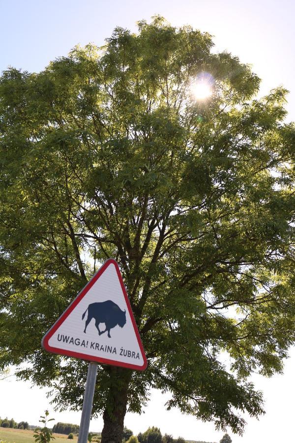 Lesna 21 Dom Poludnie Przy Puszcza Bialowieska Luka Exteriör bild