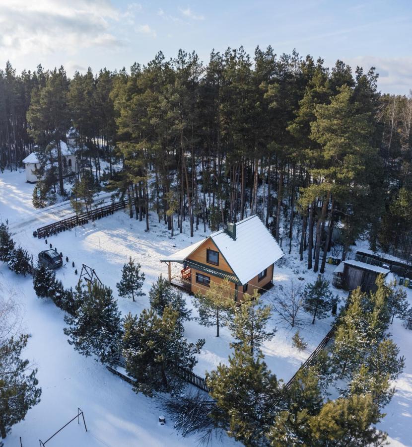 Lesna 21 Dom Poludnie Przy Puszcza Bialowieska Luka Exteriör bild