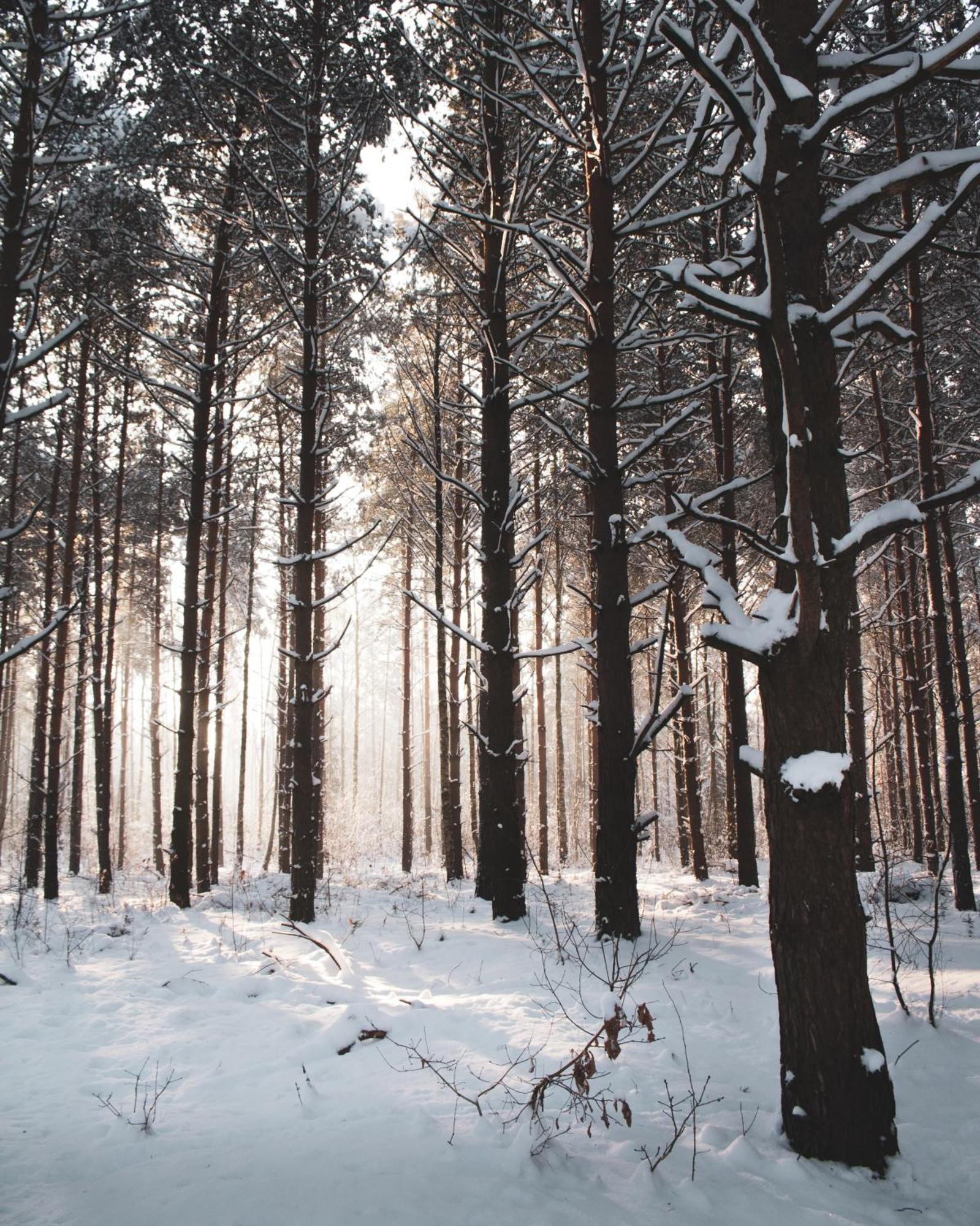 Lesna 21 Dom Poludnie Przy Puszcza Bialowieska Luka Exteriör bild